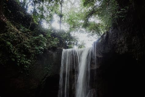 Photo of a Waterfall in the Forest · Free Stock Photo