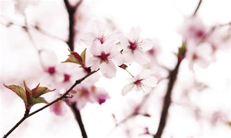 Fyeah Gay Kpop Ships Another Wonderful Seyong X Junhee Moment Also