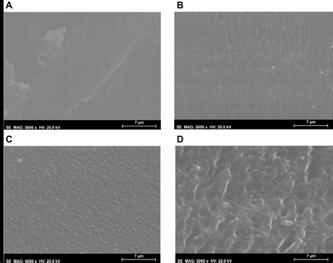 Sem Micrographs Magnification Scale Bar M Of The Pva Pbo