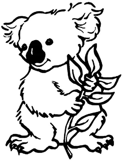 Koala coloring pages to download and print for free