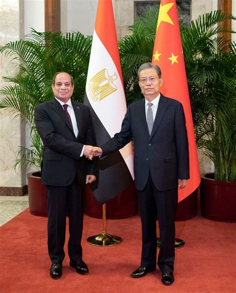 China S Top Legislator Meets Egyptian President Xinhua