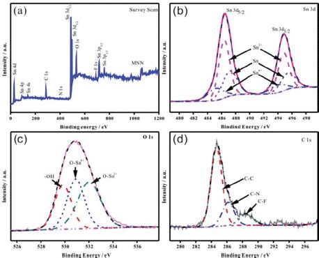 Xps Spectra Of Sn Surface A Survey Scan High Resolution Xps Spectra