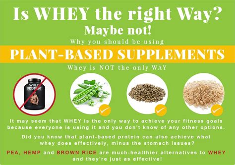 Guide To The Difference Between Plant Based Protein Supplements And