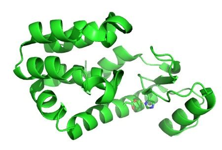 Lysozyme Meaning, Function & Structure - Lesson | Study.com