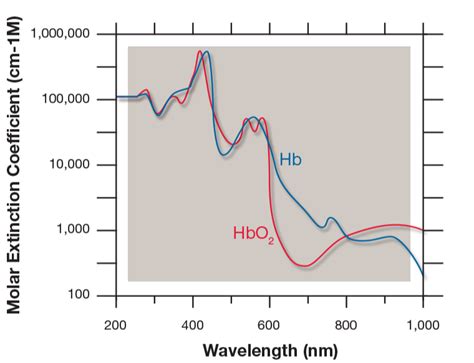 Hematocrit Chart A Visual Reference Of Charts Chart Master