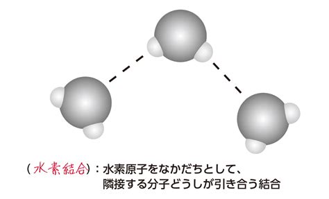 【高校化学】「水素結合とは」 映像授業のtry It トライイット