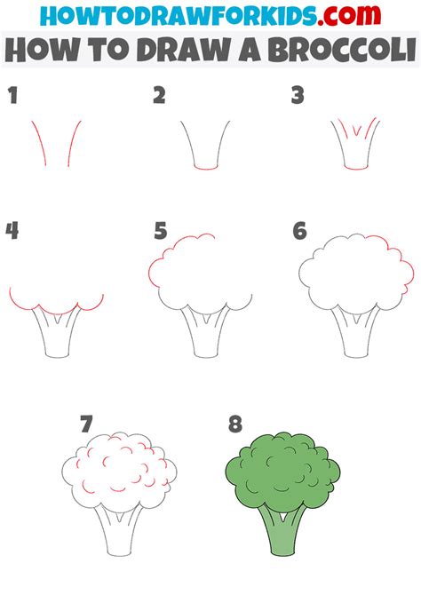 Step By Step To Draw A Broccoli Drawing Tutorial A Broccoli Drawing ...