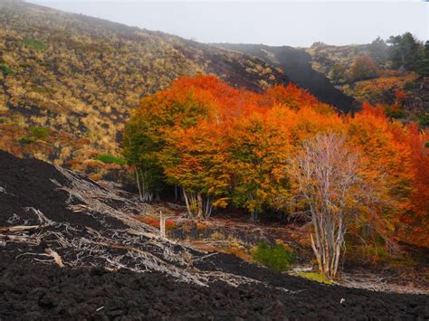 Mount Etna Trek To The Craters Of The Eruption Getyourguide