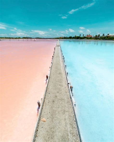 ¿has Visitdo Las Salinas En Cabo Rojo Dependiendo De La época En Que Visites Este Lugar