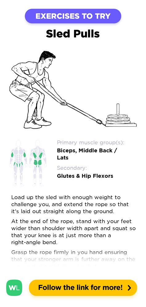 Sled Pulls – WorkoutLabs Exercise Guide