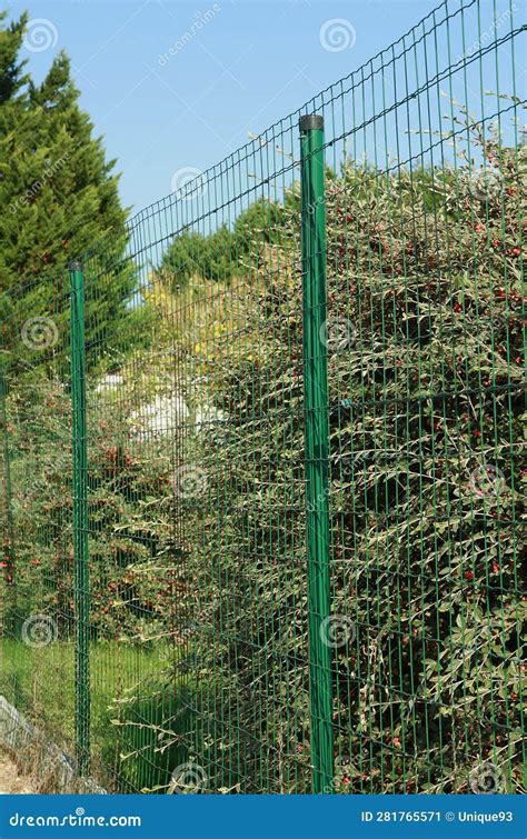 Garden Fence and Gate in Rigid Wire Mesh Panels Stock Image - Image of ...