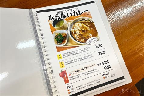 【中松駅・ひみつ基地ゴン】外も中もユニーク！おもちゃカフェではジビエカレーも。｜南阿蘇 あそびなっせ！