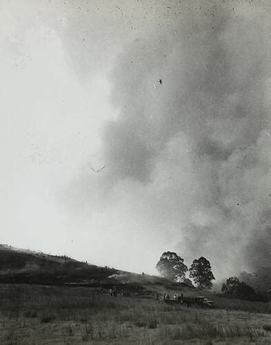 Photograph - State Electricity Commission, Bushfire, Victoria, circa 1960s