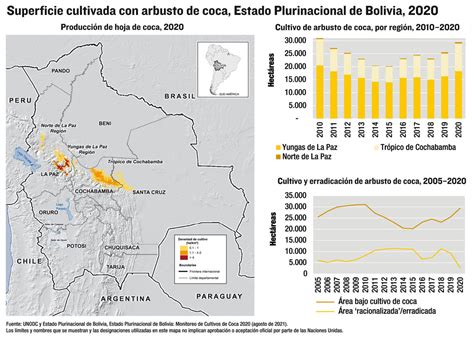 La Producci N De Coca Na Lleg A Cifra R Cord La Raz N