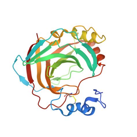 RCSB PDB 4YGF Crystal Structure Of The Complex Of Helicobacter