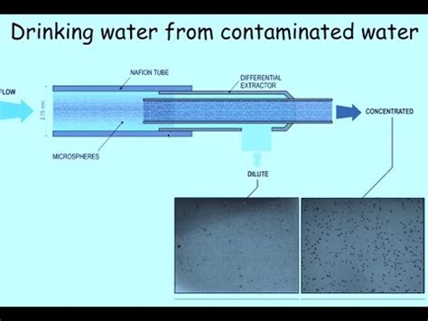 Les 4 Phases de l Eau la Zone d Exclusion et l Eau Vivante Condensé