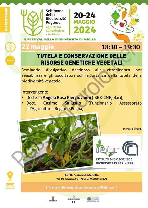 Seminario Organizzato DallANEB Di Molfetta Nellambito Della Settimana