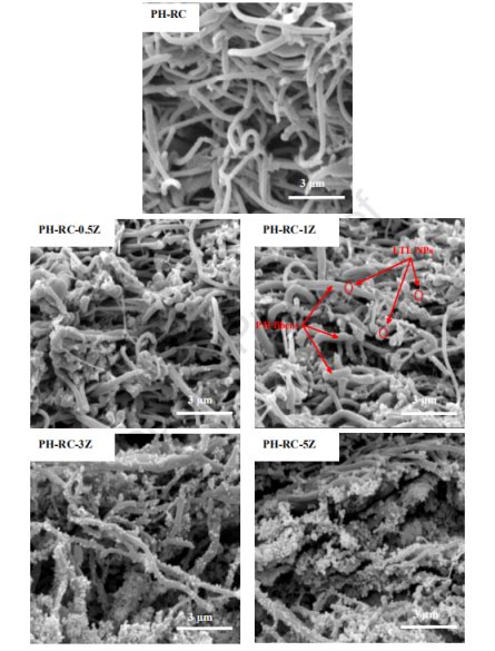 J Membr Sci：将纳米级ltl沸石掺入双层pvdf Hfp纤维素膜中以提高膜蒸馏性能 Mecc