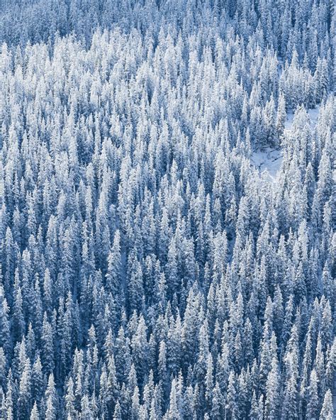 First snowfall of the year in Colorado : r/pics