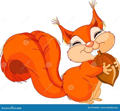 Squirrel With Nut Stock Vector Illustration Of Vector 22104028