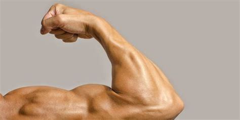 How To Achieve The Ultimate Arm Pump Biceps Workout Biceps And