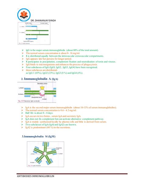Antibodies immunoglobulin | DOCX
