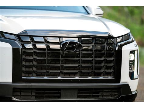 2024 Hyundai Palisade Black Grill Betta Charlot