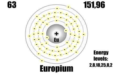 Europium Atom With Mass And Energy Levels Stock Vector Illustration