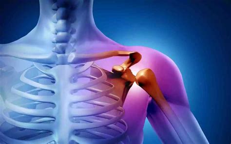 How To Stay Fit And Active During Shoulder Injury Recovery