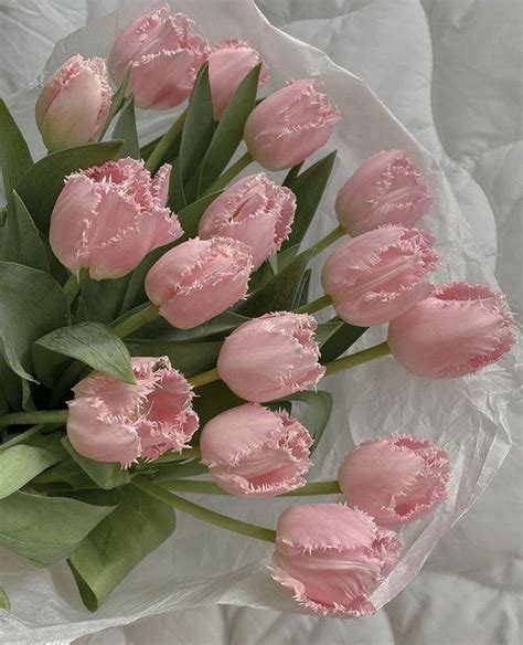 pink tulips flower aesthetic flowers bouquet gift pink tulips