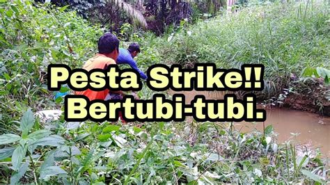 Memancing Di Anak Sungai Strike Bertubi Tubi Youtube