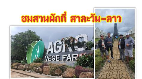 ชมฟาร์มผัก Agro Vege Farm เมืองสาละวัน ลาว Youtube