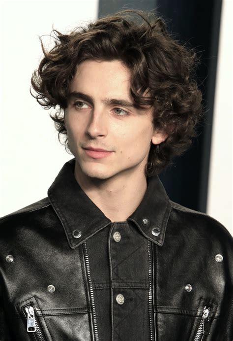 Timothée Chalamet’s Top Hairstyles: Your Ultimate Guide