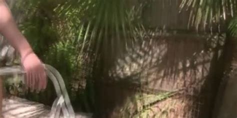 Amateur Sorority Hazing With Strap On Dildos Tnaflix