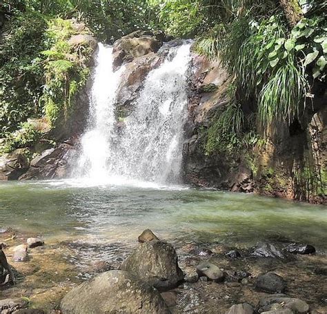 THE 15 BEST Things to Do in Martinique - 2024 (with Photos) - Tripadvisor