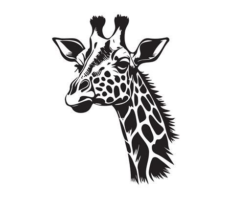 Giraffe Face Silhouettes Giraffe Face Black And White Giraffe Vector