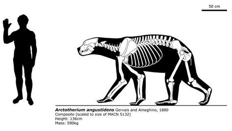 Arctotherium angustidens by bLAZZE92 | Prehistoric wildlife ...