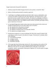 4 Temp Oxygen Catalase Handout Docx Oxygen Requirements For Growth