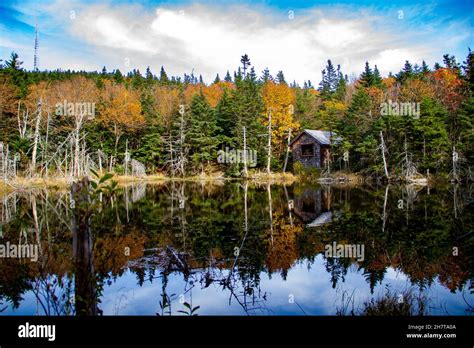 Stunning view of fall trees and the old cabin in Mount Greylock Stock Photo - Alamy