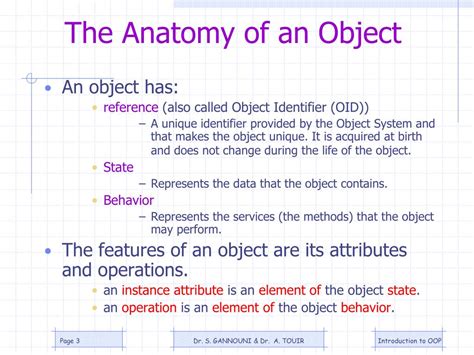 Ppt Objects And Instance Attributes And Variables Powerpoint