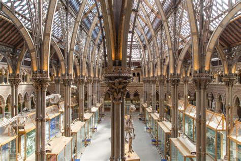 Oxford Natural History Museum By Deane And Woodward Photorator