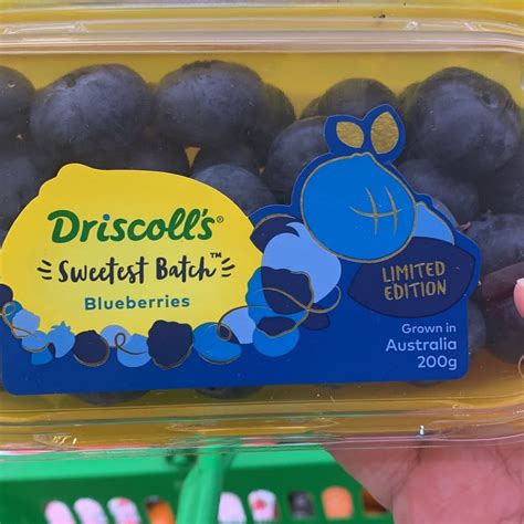 Driscolls Sweetest Batch Blueberries Reviews Abillion