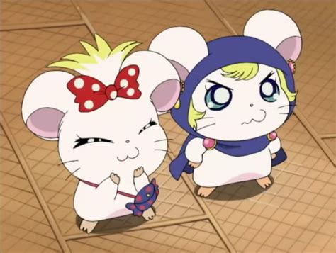 Lapis And Lazuli The Hamtaro Wiki Fandom