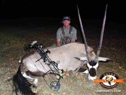 Gemsbok Hunting In Texas Squaw Mountain Ranch Hunts