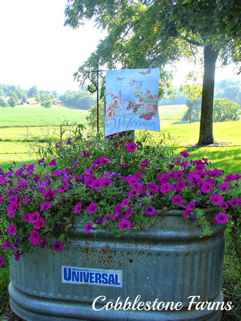 Water Trough Garden Ideas