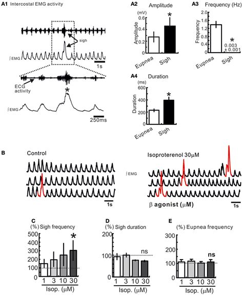 Blockade of ICAN with FFA does not block the β noradrenergic modulation