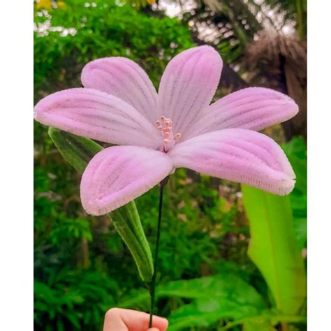 Jual Bisa Cod Bunga Kawat Bulu Bunga Lily Pipe Cleaner Flower