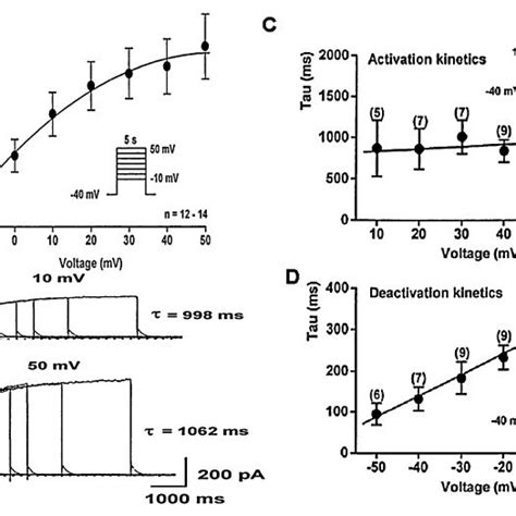 The Activation Upper Panels And Deactivation Bottom Panels Kinetics