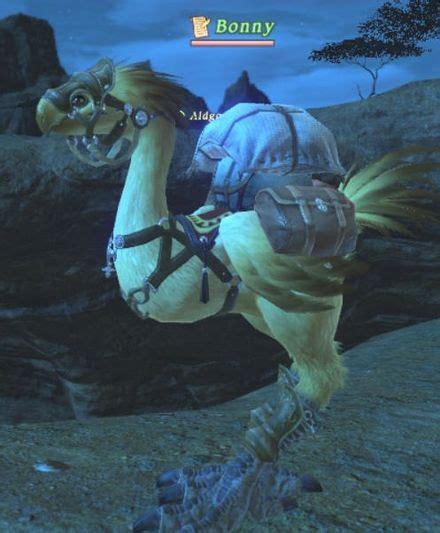 Bonny Gamer Escapes Final Fantasy Xiv Ffxiv Ff14 Wiki