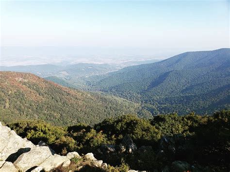 Hawksbill Gap @ Shenandoah NP : r/camping